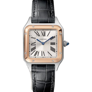 Cartier Santos Dumont Swiss Eta Watch
