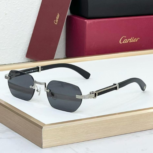 Cartier Rectangular Frame Sunglasses with Black Tinted Lenses